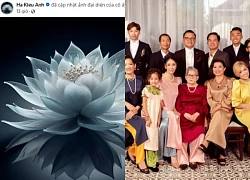 Hà Kiều Anh nghẹn ngào báo tin tang sự, dàn sao Việt đồng loạt gửi lời chia buồn