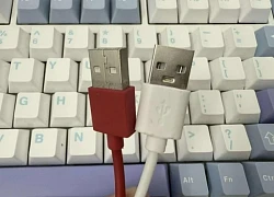 Hai lỗ vuông trên đầu nối USB có tác dụng gì?