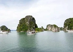 Hòn Cỏ - 'ốc đảo xanh' trong lòng di sản Vịnh Hạ Long