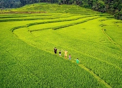 Khám phá vẻ đẹp và ẩm thực Xứ Tiên - Làng cổ Lộc Yên