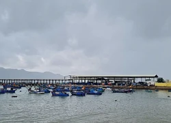 Khánh Hòa: Trải nghiệm ở Cảng cá Vĩnh Lương