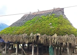 Mái nhà rêu xanh đẹp như tranh ở Hà Giang