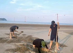 Người dân có thể "đào tiền triệu" mỗi ngày dưới lớp cát