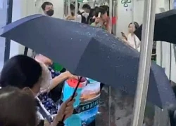 Nguyên nhân tàu metro Cát Linh - Hà Đông bị 'dột', khách che ô suốt hành trình