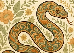 Ở tuổi trung niên, 4 con giáp này càng sống càng "phất": Tiền bạc rủng rỉnh, nghỉ hưu an nhàn chẳng lo cơm áo