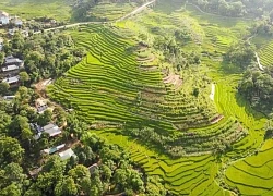 Pù Luông: Mùa vàng đang gọi