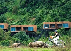 Quảng Bình khai thác lợi thế, ưu tiên phát triển du lịch nông thôn bền vững