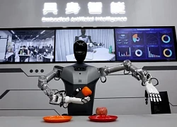 Robot hình người Trung Quốc sẽ không thay thế được con người?