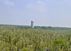 Long An: Làng nổi Tân Lập - Vẻ đẹp miền Tây