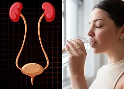 Thận suy yếu âm thầm, hãy nhớ làm điều này để phòng xa