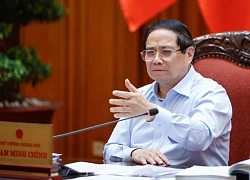 Thủ tướng: Hàng trăm tấn hàng giả do không còn ý chí hay bị mua chuộc?