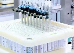 TPHCM: Phát hiện sữa tắm, thực phẩm chức năng bị "gắn mác" thiết bị y tế