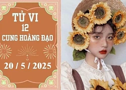 Tử vi 12 cung hoàng đạo ngày 20/5: Cự Giải khó khăn, Bảo Bình chậm trễ