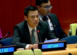 Việt Nam ủng hộ nỗ lực nâng cao hiệu quả hoạt động của LHQ