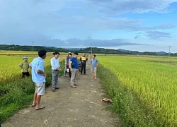 2 người dân bị sét đánh tử vong trên cánh đồng