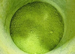 5 lý do bạn nên thêm matcha vào chế độ chăm sóc da hàng ngày