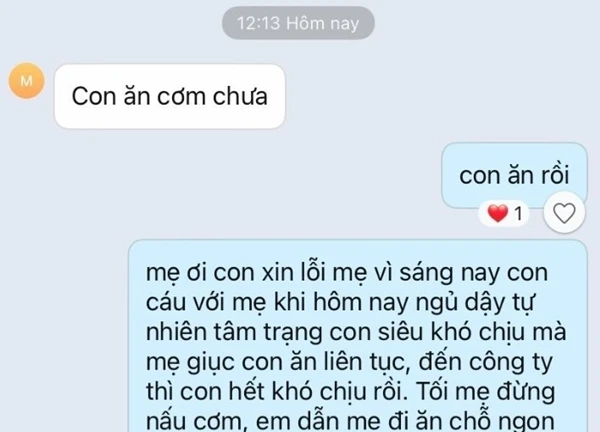 Bức ảnh chụp màn hình đoạn tin nhắn Zalo giữa con gái và mẹ đang gây sốt trên Threads