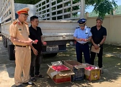 Dừng xe tải nhiều nghi vấn, cảnh sát phát hiện 1.200 lọ kem dưỡng da không nguồn gốc