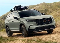 Honda CR-V phiên bản địa hình sử dụng động cơ hybrid