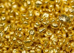 Israel: Bắt giữ đối tượng buôn lậu 1,8 kg vàng từ Dubai