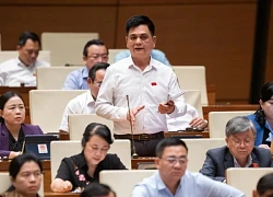 'Bỏ tử hình tội vận chuyển ma túy, Việt Nam dễ thành điểm trung chuyển ma túy quốc tế'
