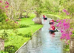'Bỏ túi' trọn bộ kinh nghiệm khi du lịch rừng