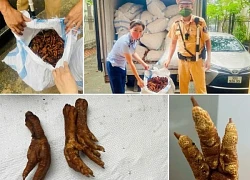 CSGT Hà Nội phát hiện 1,4 tấn chân gà không rõ nguồn gốc