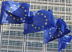 EU khẳng định nỗ lực đạt được thỏa thuận thương mại với Mỹ