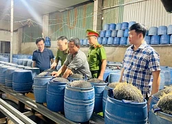 Gần 350 tấn giá đỗ ngâm chất độc hại đã lên bàn ăn