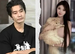 Huỳnh Hiểu Minh lập di chúc, 35.000 tỷ Diệp Kha không có 1 xu, chuyện gì đây?