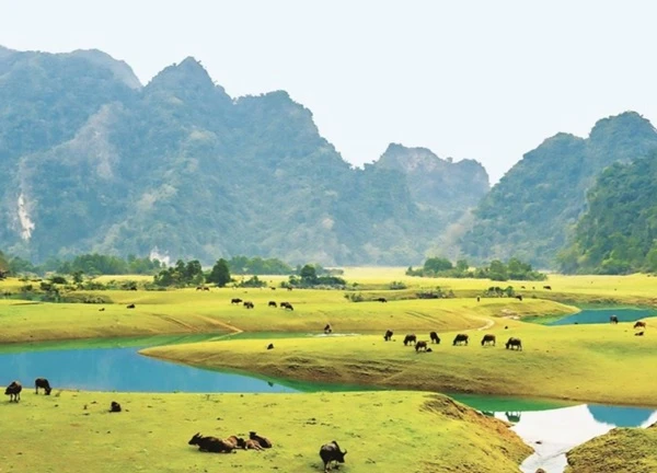 Khám phá thảo nguyên xanh trong lòng xứ Lạng