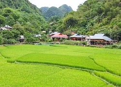 Kho Mường thức giấc giữa đại ngàn