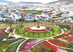 Lạc bước vào chốn 'Bồng lai tiên cảnh ngàn sao' tại Đà Lạt