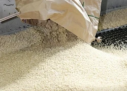 Nhật Bản nỗ lực giảm giá gạo