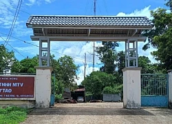 Phó giám đốc công ty lâm nghiệp bị đán.h gãy xương sườn khi kiểm tra rừng