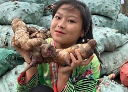 Sùng Bầu kiếm tiền tỷ mỗi tháng nhưng mâm cơm cữ đạm bạc đến khó tin, lý do rất nhiều mẹ bỉm đồng cảm