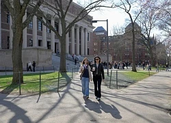 Thẩm phán chặn lệnh cấm Đại học Harvard tuyển sinh viên quốc tế