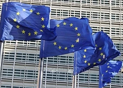 Thuế quan của Mỹ: EU tuyên bố bảo vệ lợi ích của khối