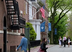 Tổng thống Trump tiết lộ lý do ngừng tuyển sinh viên quốc tế ở Đại học Harvard