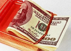 4 chiêu trò lừa đảo tài chính tinh vi bạn cần biết để tránh "mất trắng"