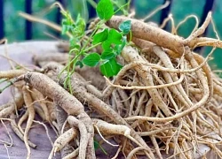 5 món ăn bài thuốc giúp phát triển chiều cao cho trẻ