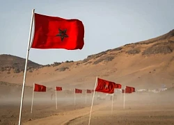 Algeria phản ứng với Anh vì ủng hộ kế hoạch của Maroc về Tây Sahara