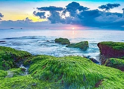 Bãi rêu xanh- Hứa hẹn điểm check-in độc đáo trên vịnh Nha Trang