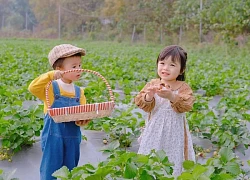 Bảng chi tiêu của mẹ 2 con "sơ sơ" đã lên đến 40 triệu/tháng nhưng không thể nào cắt giảm nổi