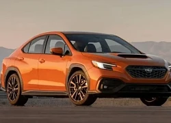 Bảng giá ô tô Subaru mới nhất tháng 6/2025