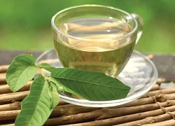 Cách làm trà lá ổi khô