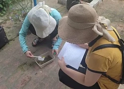 Chủ động phòng, chống dịch sốt xuất huyết
