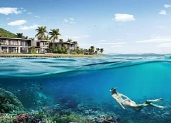 Cùng Villa Le Corail, A Gran Melía Hotel bảo tồn hệ sinh thái ngay dưới thềm dinh thự