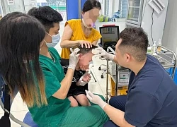 Đề phòng nguy cơ bệnh dại bùng phát trong mùa hè