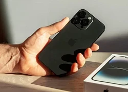 Điều gì xảy ra nếu iPhone để quá lâu dưới ánh nắng mùa hè?